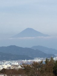 東京発ハピネスツアー 久能山東照宮で良縁成就のお祓い 日本平とみかん狩り 食べ放題 ナイスミドル ミディーに贈る婚活バスツアー ハピネスツアー