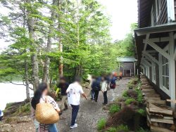 IMG_9447_bokashi