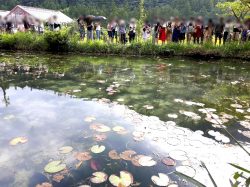 名古屋発ハピネスツアー 大迫力の火の祭典 手力の火祭り 夏 とまるで絵画の世界 美しすぎると評判の モネの池 男性30歳 48歳 女性28歳 45歳限定の婚活バスツアー ハピネスツアー