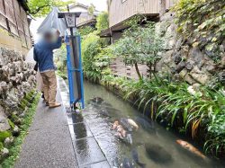 名古屋発ハピネスツアー 7種の松茸料理が食べ放題 松茸バイキングとまるで絵画の世界 美しすぎると評判 の モネの池 ゴールデンエイジ ダイヤモンドエイジに贈る婚活バスツアー ハピネスツアー